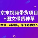 （5035期）京东视频带货项目+图文带货种草，成本低，利润高，操作简单收入稳定