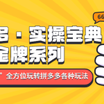 （4934期）拼多多·实操宝典：金牌系列“小白到高手”带你全方位玩转拼多多各种玩法