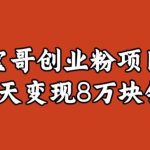 宝哥IP图文创业粉引流项目实战分享：单个账号3天涨粉1万，变现8万块钱（图文教程）【揭秘】