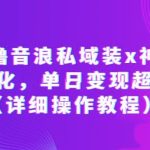 抖音撸音浪私域装x神器二次转化，单日变现超500（详细操作教程）【揭秘】