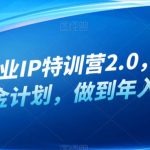 白龙·创业IP特训营2.0，IP合伙人掘金计划，做到年入50W