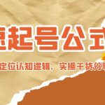 （4854期）极速起号公式，个人ip起号与定位认知逻辑，实操干货分享(无中创水印)