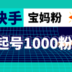 （4818期）抖音快手三天起号涨粉1000宝妈粉丝的核心方法【详细玩法教程】