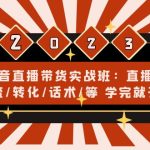 （4799期）抖音直播带货实战班：直播间引流/转化/话术/等 学完就开干(无中创水印)