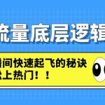 （4756期）直播流量底层逻辑密码：直播间快速起飞的秘诀，轻松上热门