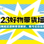 （4754期）2023好物带货培训班：短视频底层逻辑带货解析，账号定位运营选品