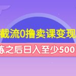 （4727期）抖音截流0撸卖课变现项目：这个玩法熟练之后日入至少500以上