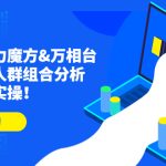 （4709期）达摩盘引力魔方&万相台投放课：人群组合分析，高效投放实操！