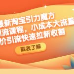 （4708期）最新淘宝引力魔方低价引流实操：小成本大流量，低价引流快速拉新收割
