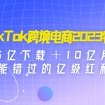 （4702期）TikTok跨境电商2023特训：35亿下载＋10亿月活，不能错过的亿级红利风口