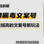 （4676期）2023抖音快手毒文案新玩法，牌匾文案号，起号快易变现