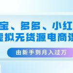 （4669期）淘宝、多多、小红书-虚拟无货源电商课：由新手到月入过万（3套课程）