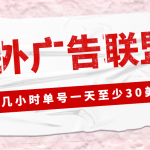 （4662期）外面收费1980最新国外LEAD广告联盟搬砖项目，单号一天至少30美金(详细教程)