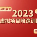 （4641期）《拼夕夕虚拟项目陪跑训练营1.0》单店每天100-200收益 独家选品思路和运营