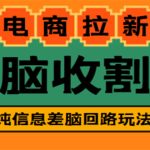 （4640期）【信息差项目】外面收费588的电商拉新收割机项目【全套教程】