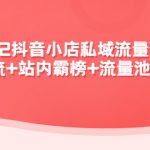 （4359期）2022抖音小店私域流量引爆课：站外引流+站内霸榜+流量池玩法等等！