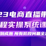 （4325期）2023电商直播带货全流程实操系统课：从起号到成熟所有阶段问题全总结！