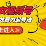 抖音暴力起号，短视频美女号起号项目+素材+批量剪辑去重软件