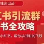 【白龙笔记】价值980元的《小红书运营和引流课》，日引100高质量粉