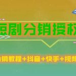 短剧分销授权，收益稳定，门槛低（视频号，抖音，快手）