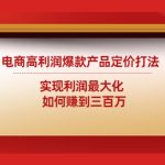（4505期）电商高利润爆款产品定价打法：实现利润最大化  如何赚到三百万