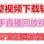 （4285期）快手直播回放视频/虎牙直播回放视频完整下载(电脑软件+视频教程)