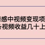 （4282期）黄岛主副业孵化营第5期：抖音情感中视频变现项目孵化 单条视频收益几十上百