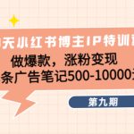 （4267期）28天小红书博主IP特训营《第9期》做爆款，涨粉变现 单条广告笔记500-10000