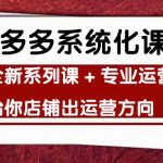（4259期）车神陪跑，拼多多系统化课程，全新系列课+专业运营给你店铺出运营方向