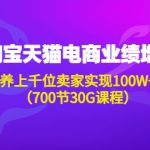 （4409期）淘系天猫电商业绩增长：已培养上千位卖家实现100W+利润（700节30G课程）