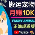 （4221期）搬运TIKTOK视频到YouTube，并进行二次创作，月赚1万美元以上
