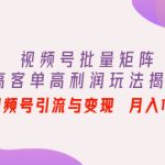 （4193期）视频号批量矩阵的高客单高利润玩法揭秘： 视频号引流与变现 月入10W+