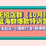 （4182期）无招店群·蓝海群爆款特训营(10月新课) 低成本起店+小爆款打造+群爆款维护