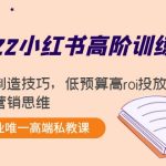 （4119期）2022小红书高阶训练营：爆文制造技巧，低预算高roi投放技巧，内容营销思维