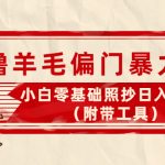 （4110期）外面卖998的三个撸羊毛偏门暴力项目，小白零基础照抄日入300+（附带工具）