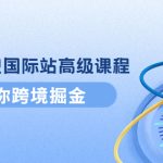 （4090期）阿里巴巴国际站高级课程：带你跨境掘金，选品+优化+广告+推广