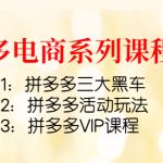 （4087期）拼多多电商系列课程3套：拼多多三大黑车+拼多多活动玩法+拼多多VIP课程