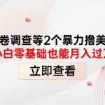 （4062期）国外问卷调查等2个暴力撸美金项目，小白零基础也能月入过万