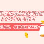 （4056期）淘宝虚拟电商蓝海项目实战班+私教班：每天操作2小时，每月多赚5000+