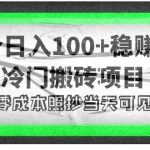 （4041期）4个稳赚的冷门搬砖项目，每个项目日入100+小白零成本照抄当天可见收益