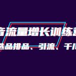 （4022期）月销1.6亿实操团队·抖音流量增长训练营：起号、选品排品、引流 千川投流等
