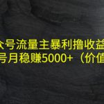 （4011期）公众号流量主暴利撸收益项目，单人单号月稳赚5000+（价值480元）