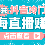（4006期）最新抖音冷门简单的蓝海直播赚钱玩法，流量大知道的人少，可做到全无人直播