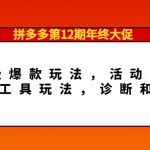 （4224期）拼多多第12期年终大促：超级爆款玩法，活动玩法，付费工具玩法，诊断和方向