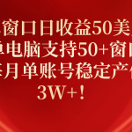（10144期）单窗口日收益50美刀，单电脑支持50+窗口，每月单账号稳定产值3W+！