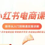 小红书电商新手入门到精通实操课，从入门到精通做爆款笔记，开店运营