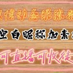 微信动态昵称设置方法，可抖音直播引流，日赚上百【详细视频教程+素材】