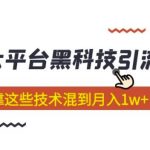 大平台黑科技引流技术，小白也能靠这些技术混到月入1w+(2022年的课程）