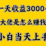 一天赚3000多，大佬是这样赚到钱的，小白当天上手，穷人翻身项目