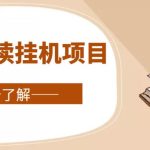 全自动阅读挂机项目，号称单窗10r，全套脚本+教程，小白上手简单